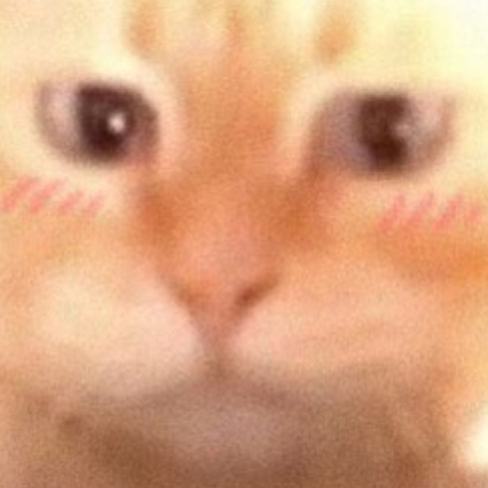 Meet your Posher, Dominik